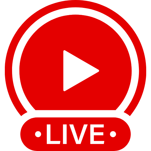 Hamster Web Live | Live Webcam Shows & Interactive Adult Entertainment